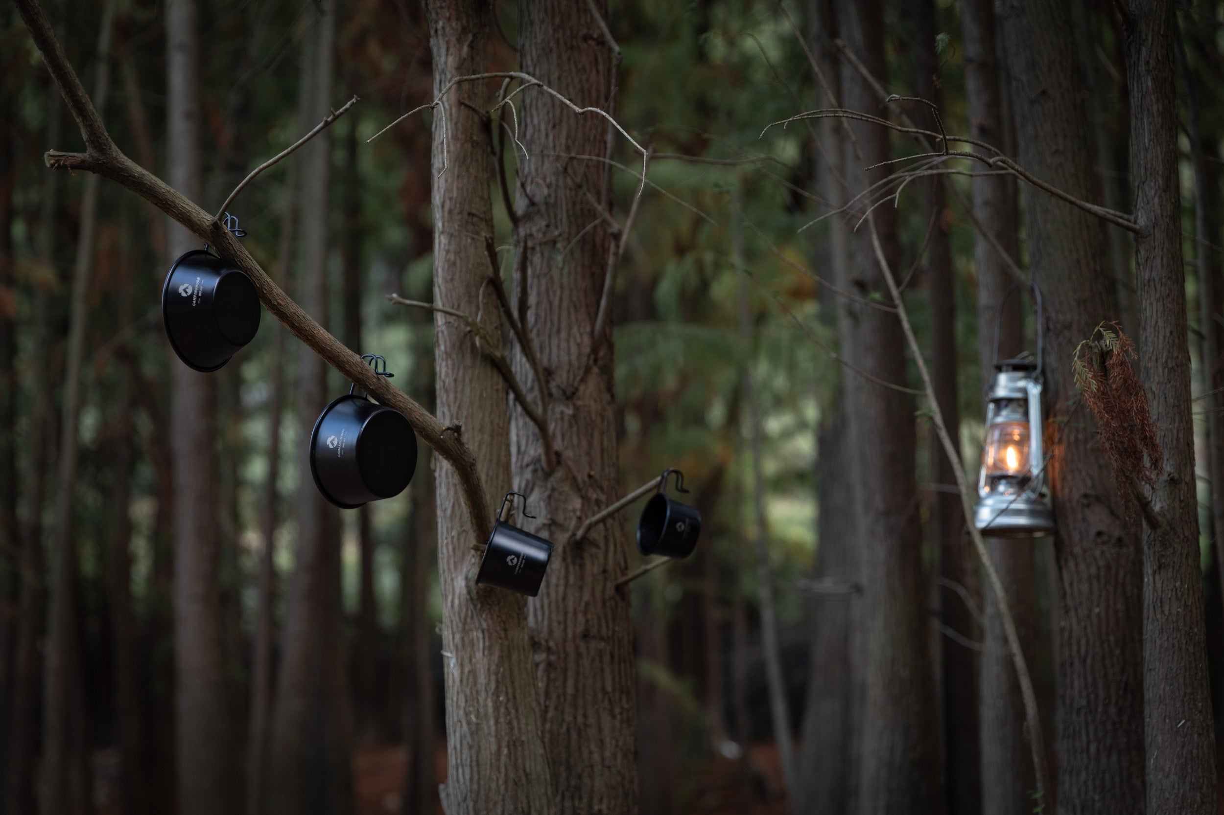 ミニシェラカップ チタン黒酸化発色 2点セット BKS-050-2P