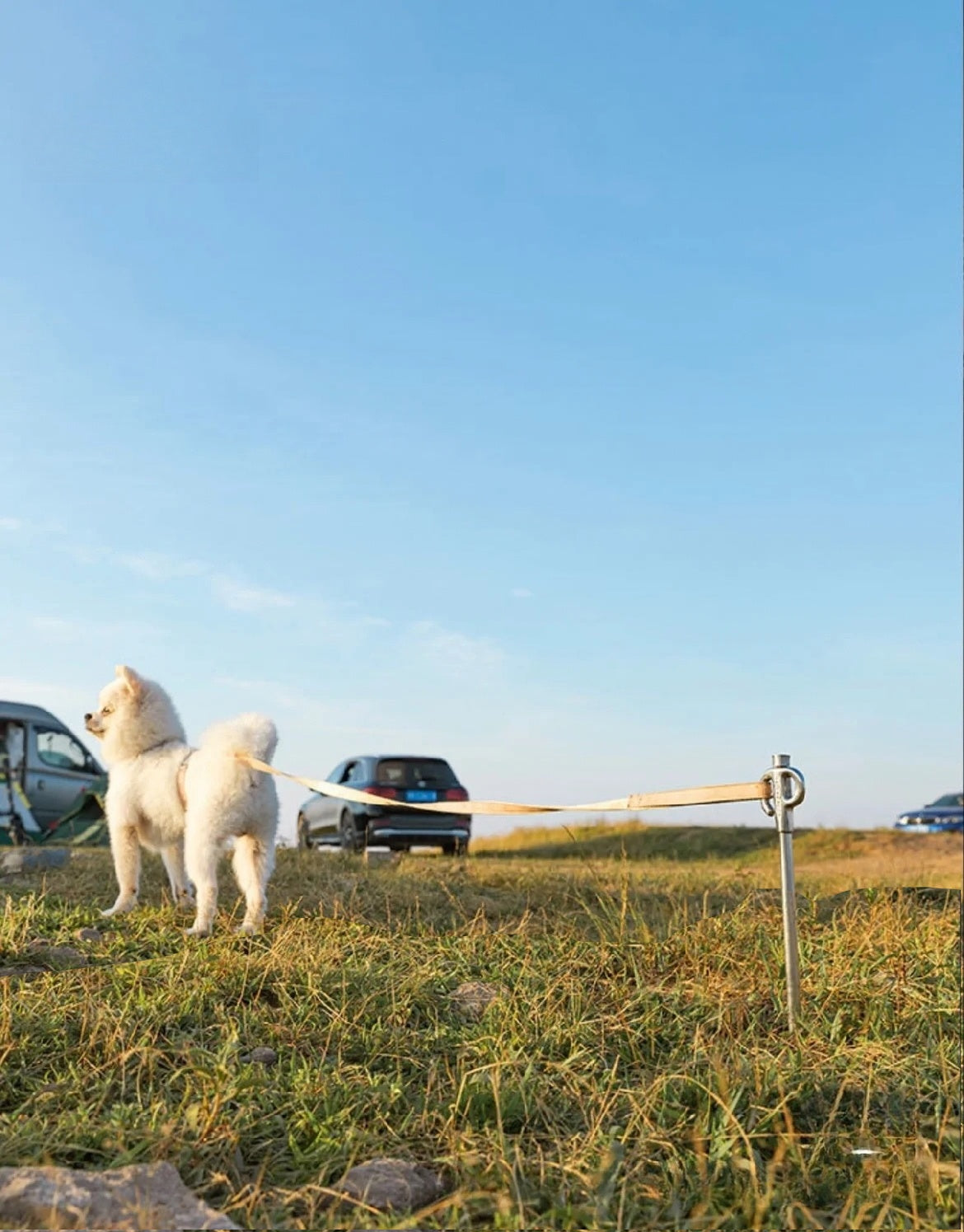 係留ペグ 360度回転 K45-30