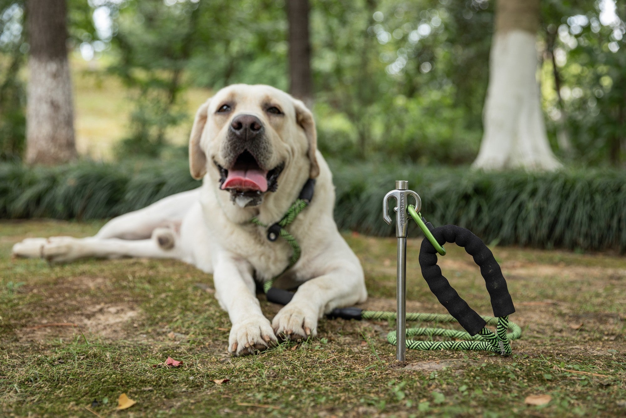係留用ステンレスペグ 大型犬対応 K45